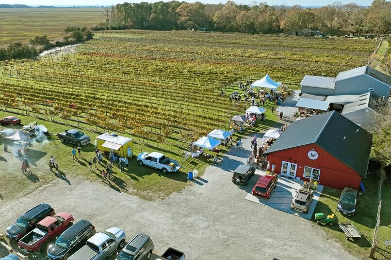 Briganti By The Bay Vineyard and Winery in Cape May Court House, New Jersey.