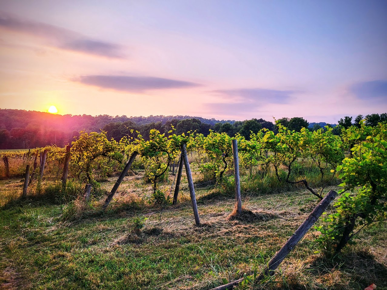 Four Sisters Winery in Belvidere, New Jersey.