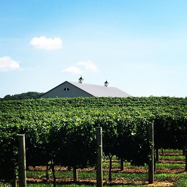 Fox Hollow Vineyards in Holmdel, New Jersey.