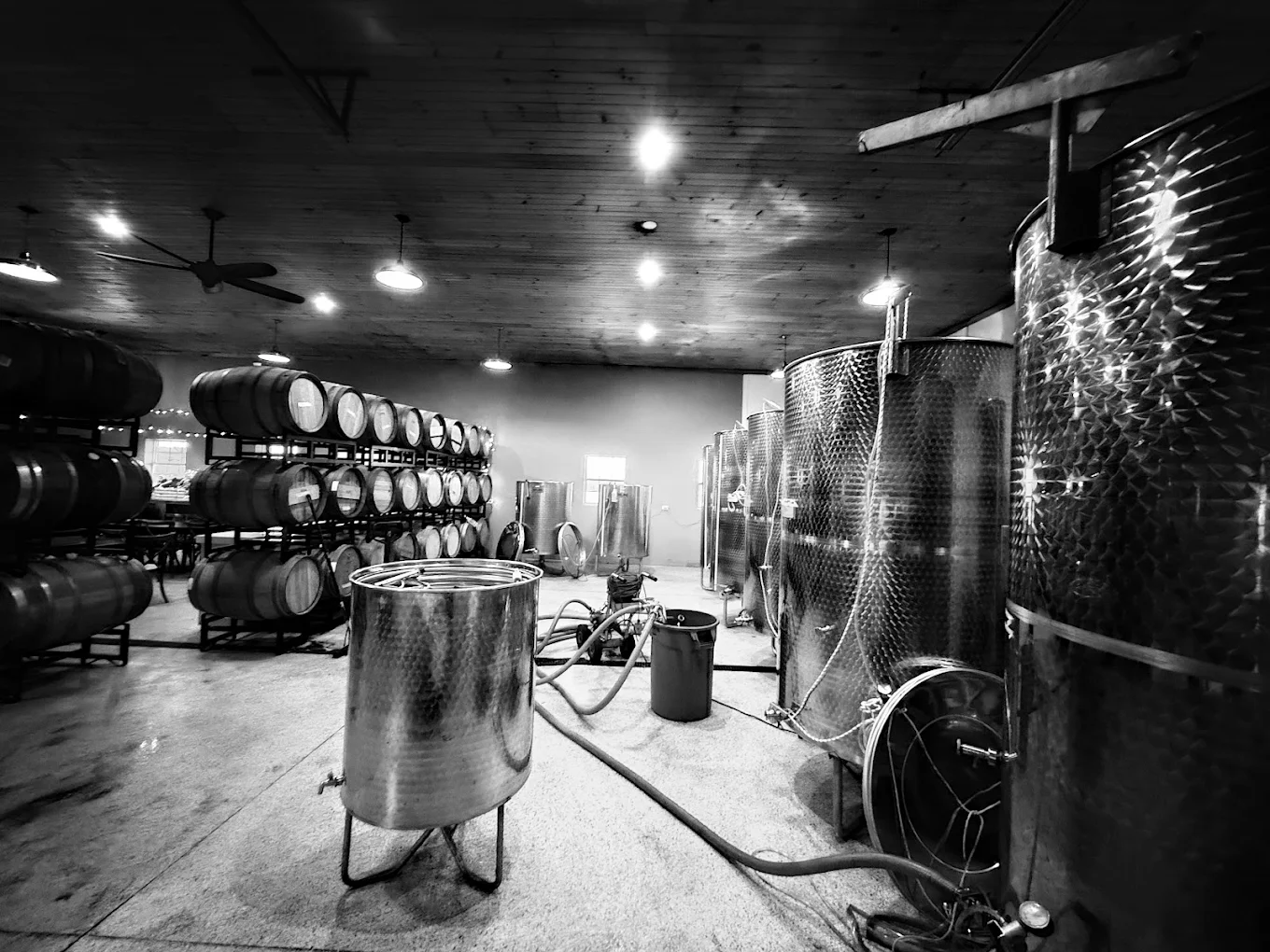 Iron Plow Vineyards in Columbus, New Jersey.