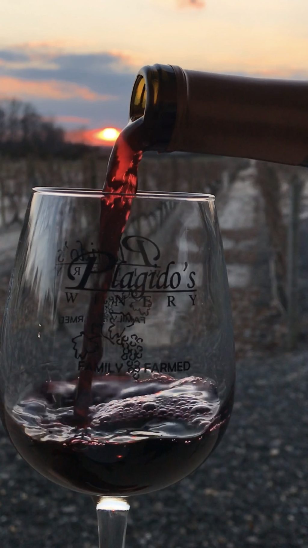 Plagido's Winery in Hammonton, New Jersey.