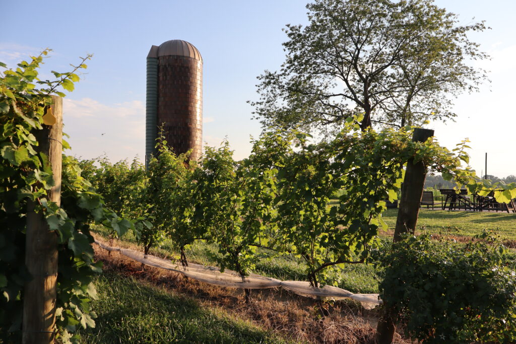 Stokelan Estate Winery in Medford, New Jersey.