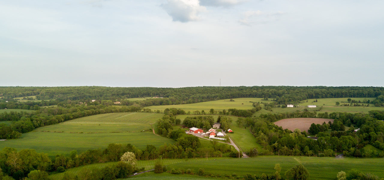 Unionville Vineyards in Ringoes, New Jersey.