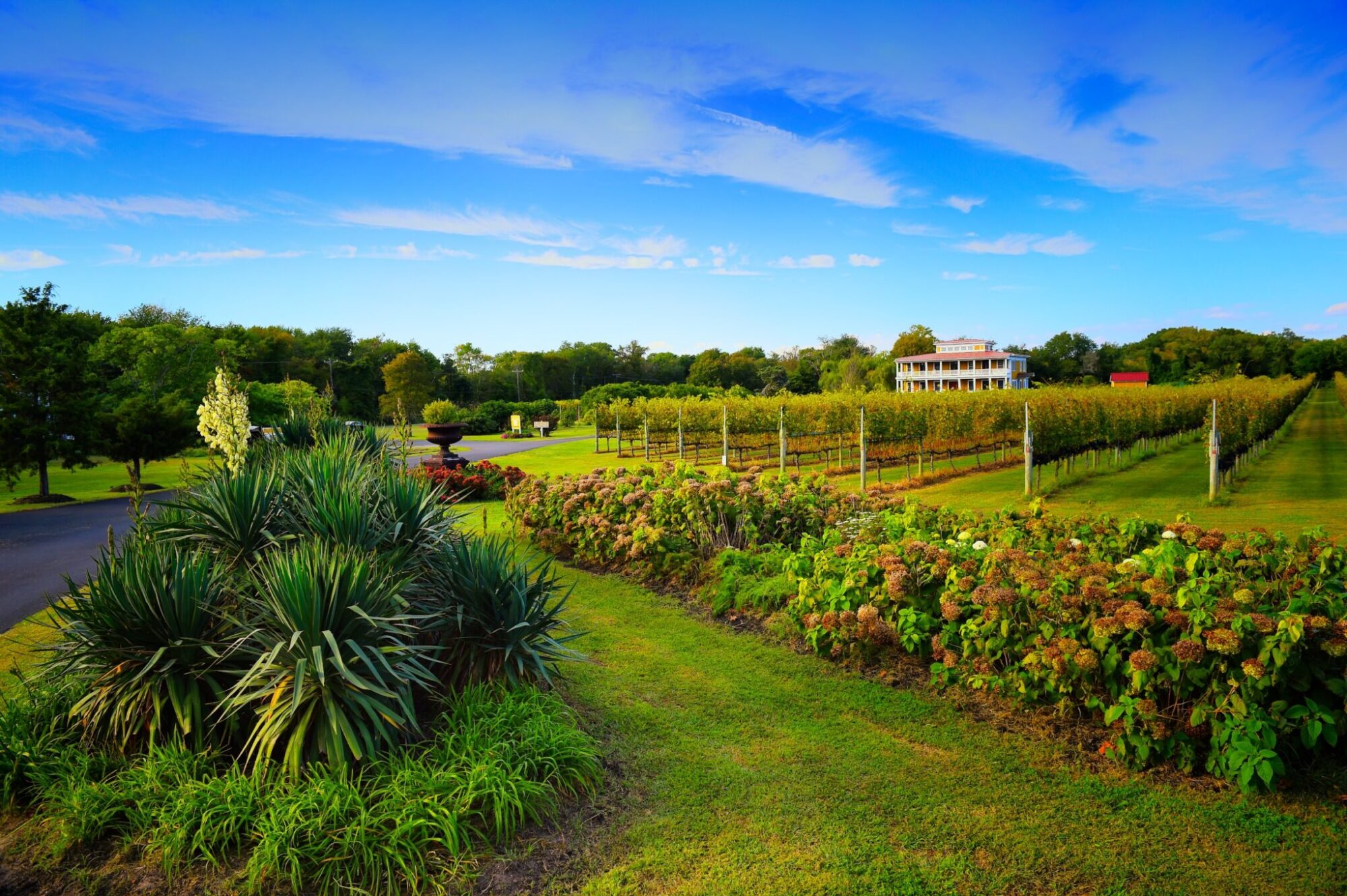 Willow Creek Winery in West Cape May, New Jersey.