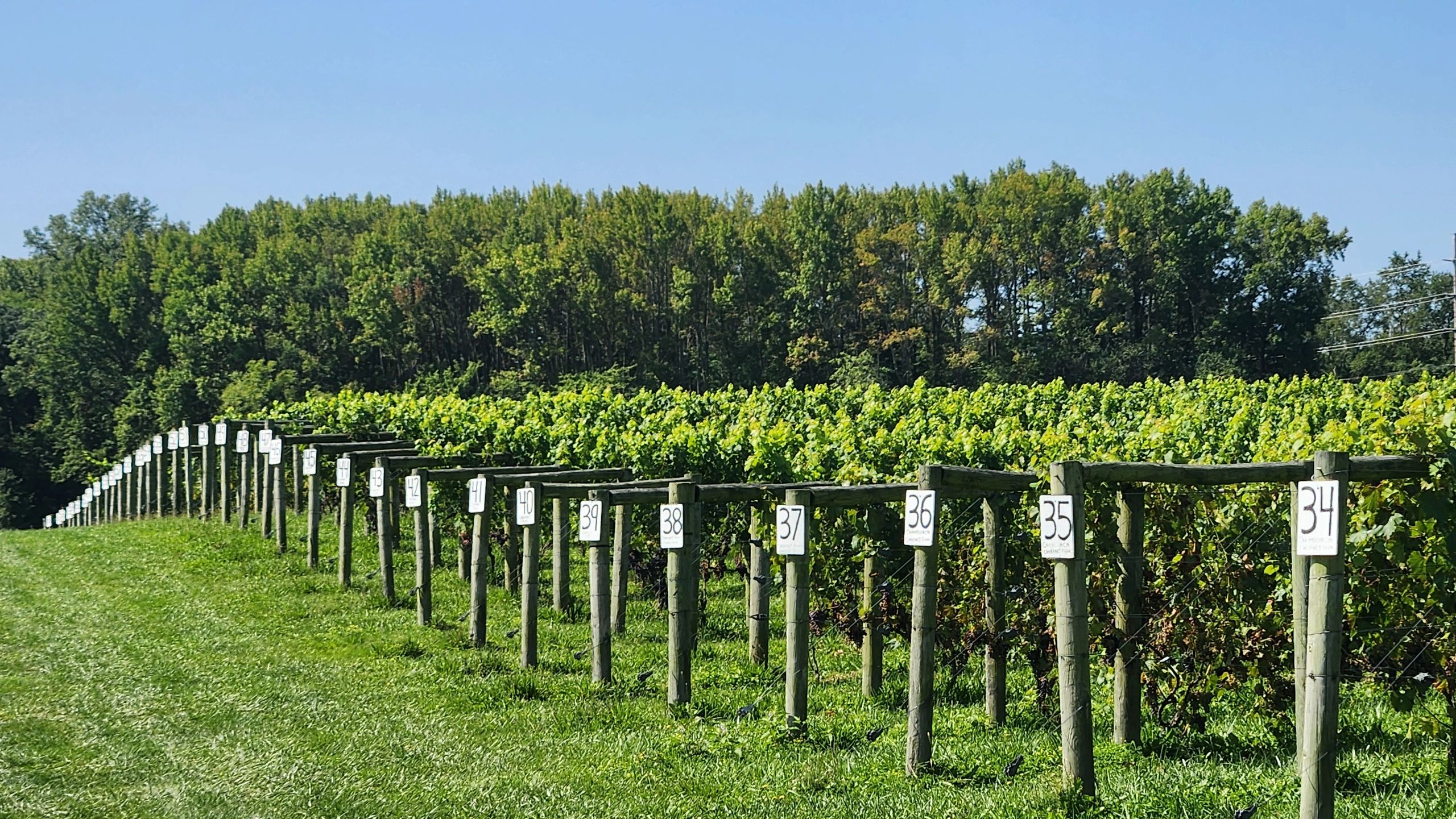Working Dog Winery in Hightstown, New Jersey.